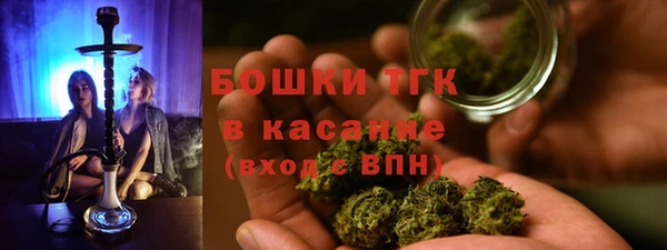 ГАЛЛЮЦИНОГЕННЫЕ ГРИБЫ Коряжма