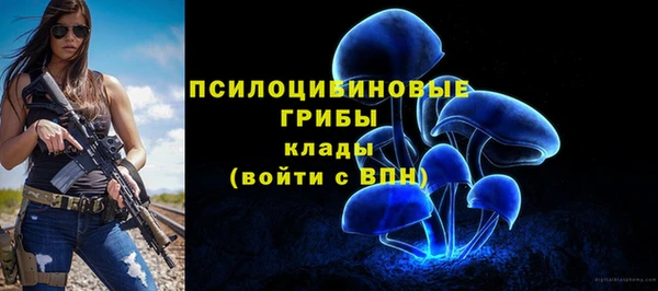 круглые Кодинск