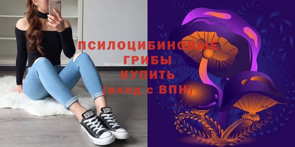 круглые Кодинск