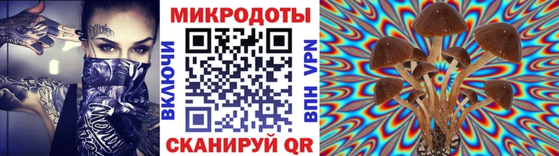 Псилоцибиновые грибы Psilocybe  Купить  Дальнегорск 