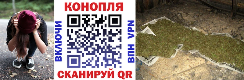 Купить где  Дальнегорск  Марихуана ГИДРОПОН 